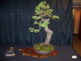 Annual Show 2011 - 24 2011